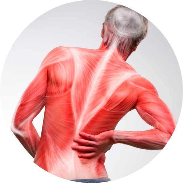 Spatele este o sursă comună de dureri musculare și articulare pentru majoritatea oamenilor.